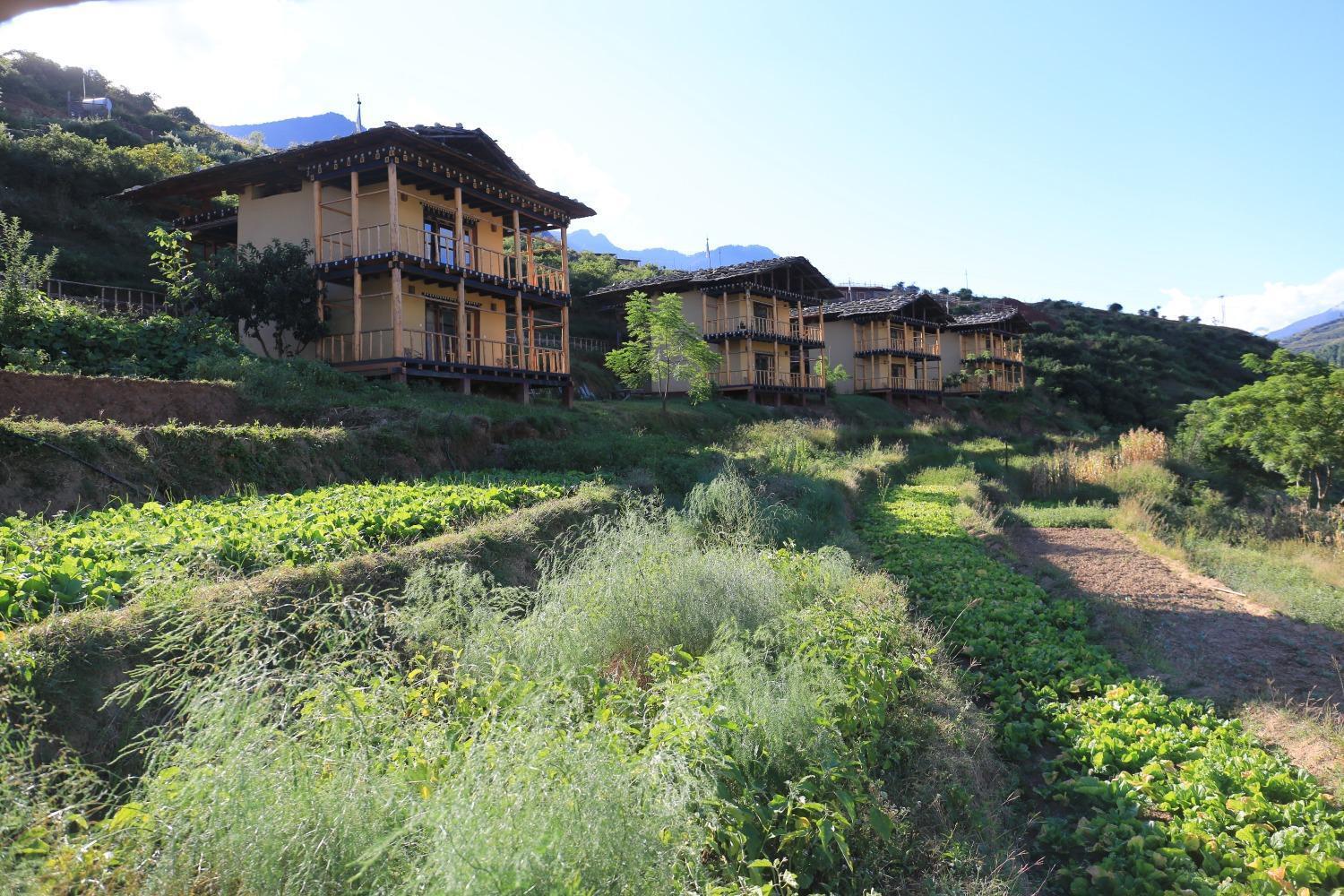 Wangdue Ecolodge Wangdue Phodrang Exteriör bild