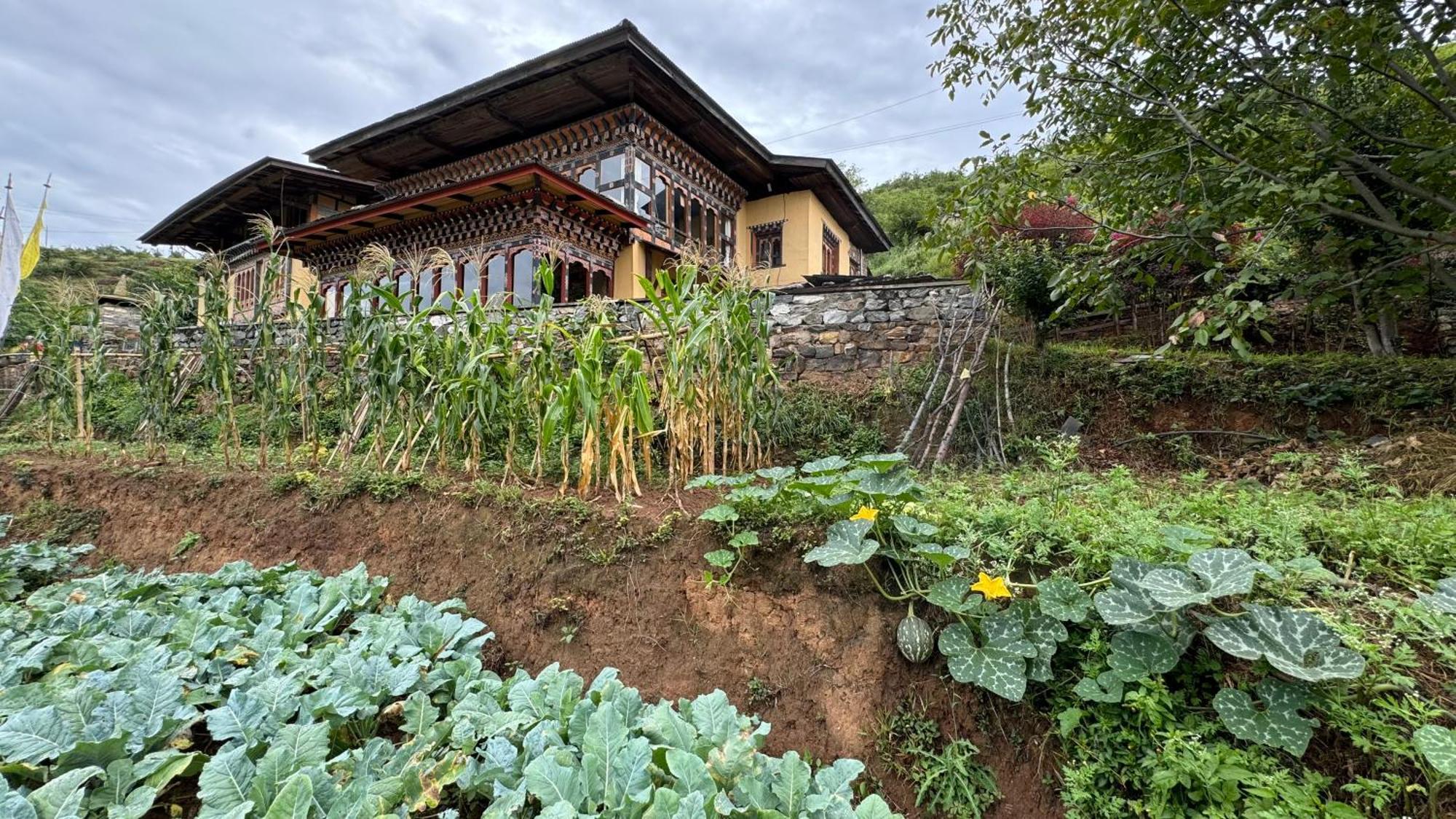 Wangdue Ecolodge Wangdue Phodrang Exteriör bild
